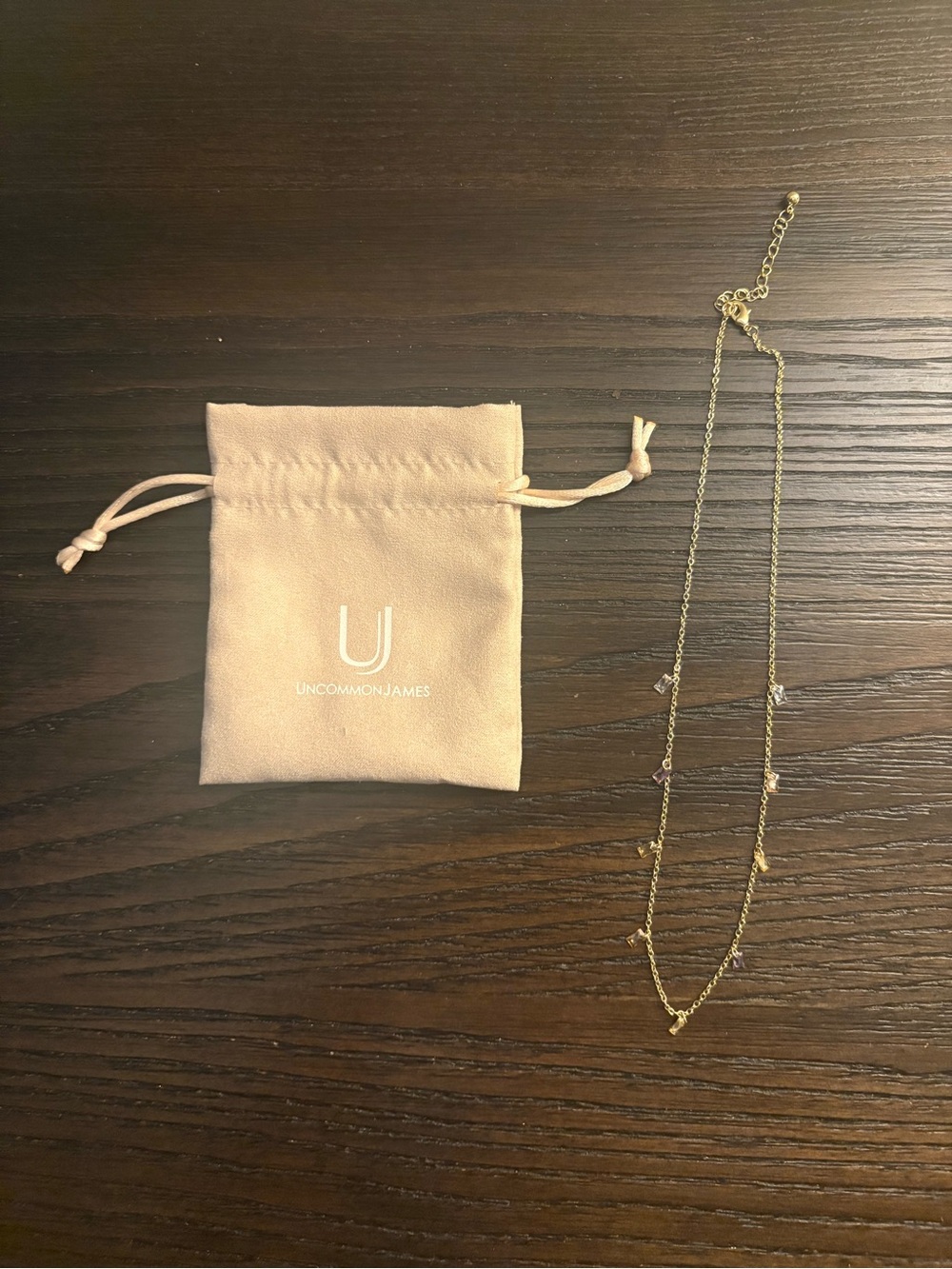 NEW Uncommon James Gold Watercolor Necklace